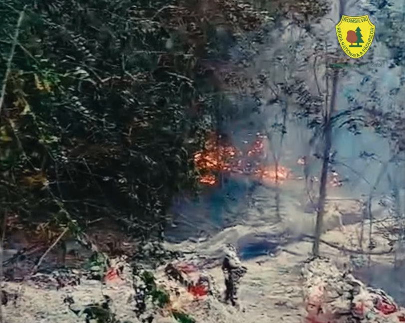 Incendiu devastator lângă Plauru: Romsilva suspectează explozia dronei