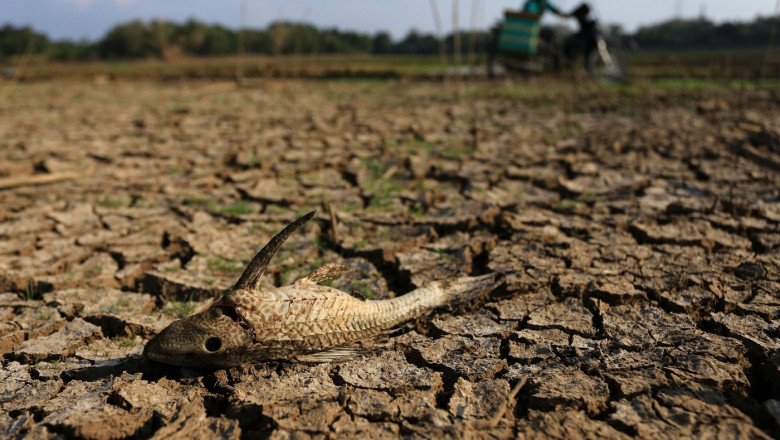 ONU avertizează: El Niño va intensifica augustul, temperaturi înalte