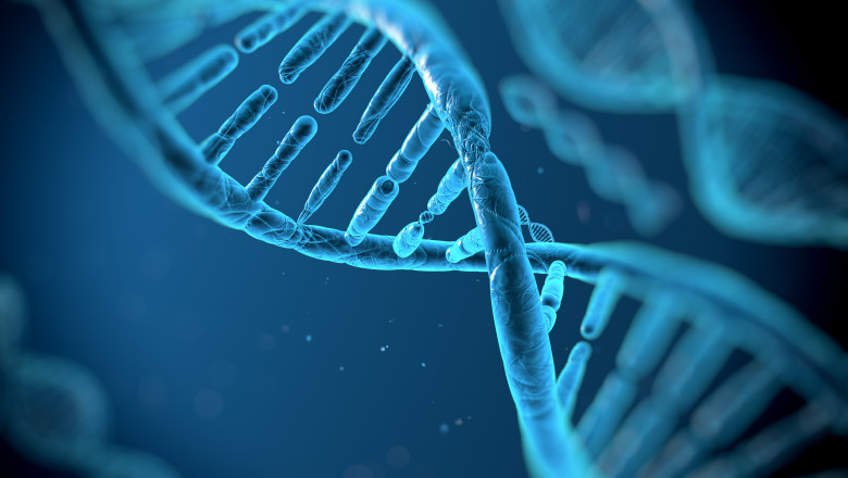 Mutaţia genetică rară care protejează organismul de obezitate şi acumularea grăsimii în ficat