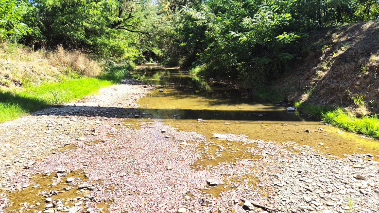 Nivelul Dunării la Cernavodă, în scădere mai pronunțată decât estimările. Apele Române monitorizează…
