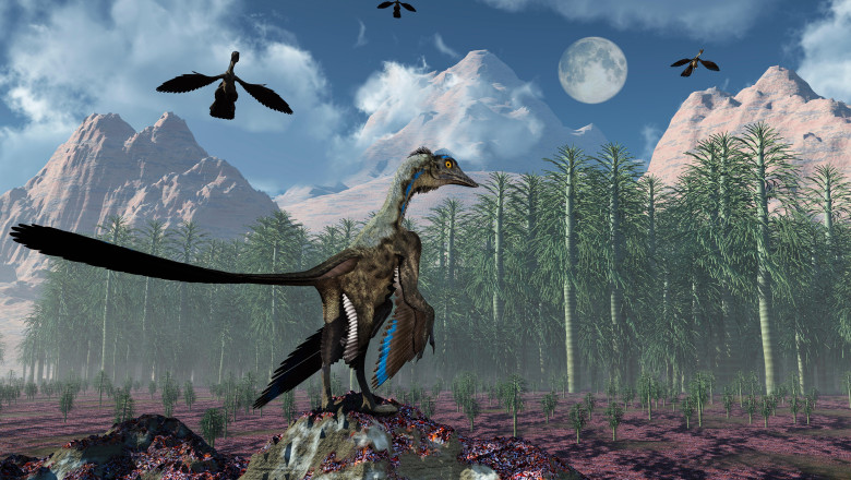 Archaeopteryx: cercetătorii dezvăluie primele încercări de zbor