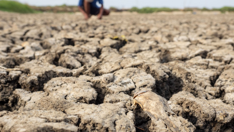 El Nino: risc major pentru securitatea alimentară, 274 de oameni afectați