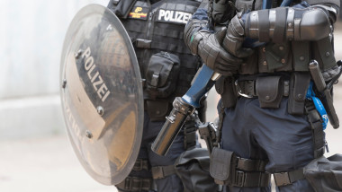 Focuri la petrecere rave în Elveția: Poliția confirmă victime