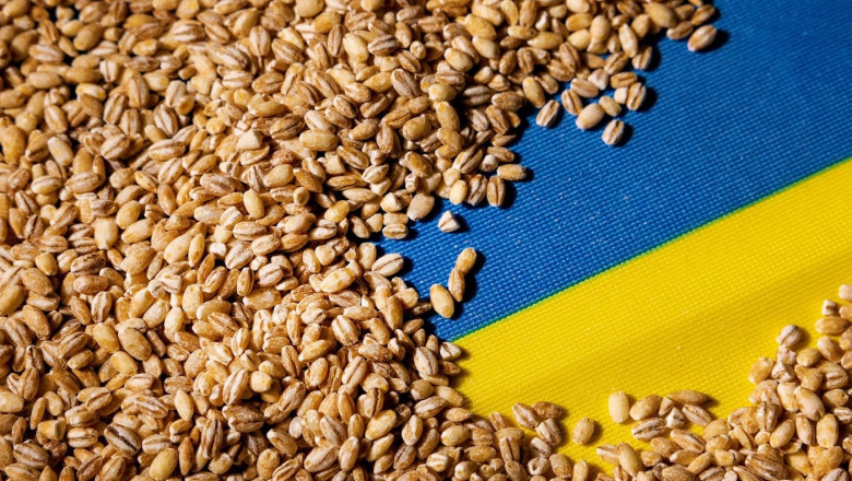 Portul Constanța, esențial în exportul cerealelor ucrainene. Kievul vrea coridor prin Republica Moldova…
