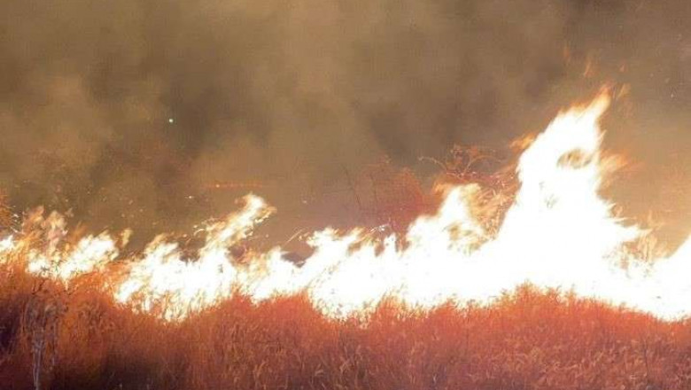 MAE: Atenţionare de călătorie pentru Croaţia. În ce zone ale litoralului sunt semnalate incendii masive de…