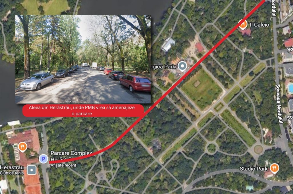 Primăria Capitalei a anunțat că amenajează o parcare de 500 de locuri în Parcul Herăstrău. „Faptul că s-a intrat cu mașina în parc și s-a acceptat nu înseamnă să le facem parcări”, spune o arhitectă