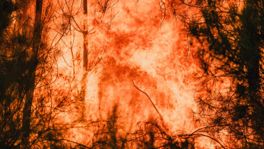 Criza climatică alimentează incendiile din Europa. Studiu: Riscul condițiilor extreme a crescut de 20 de…