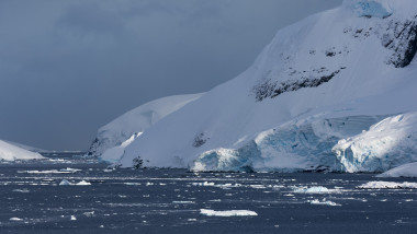 O muscă din Arctica a ajuns în Antarctica. Oamenii de ştiinţă avertizează: poate provoca „o destabilizare ecosistemică a mediului”