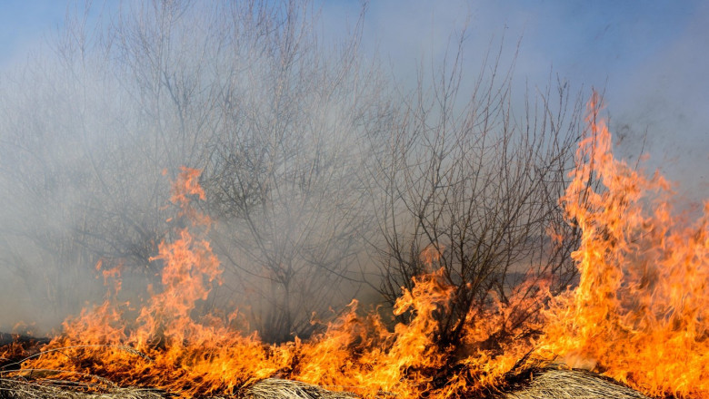 Patru noi incendii au izbucnit în Caraş-Severin. Au intervenit zeci de pompieri şi lucrători silvici…