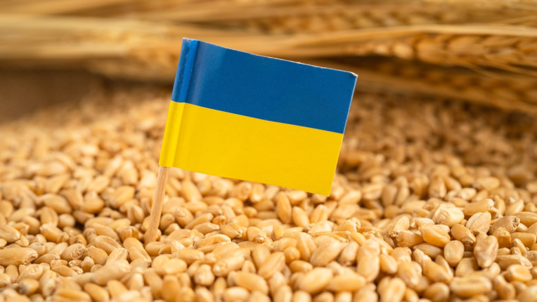 Agricultura Ucrainei, în impas: atacurile rusești limitează exporturile din porturile de la Marea Neagră…