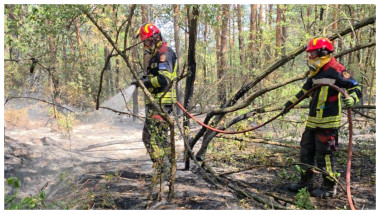 Video&Foto Pompierii români, mobilizați în Serbia pentru stingerea unui incendiu de vegetație. Intervenție dificilă într-o zonă de 34 de hectare