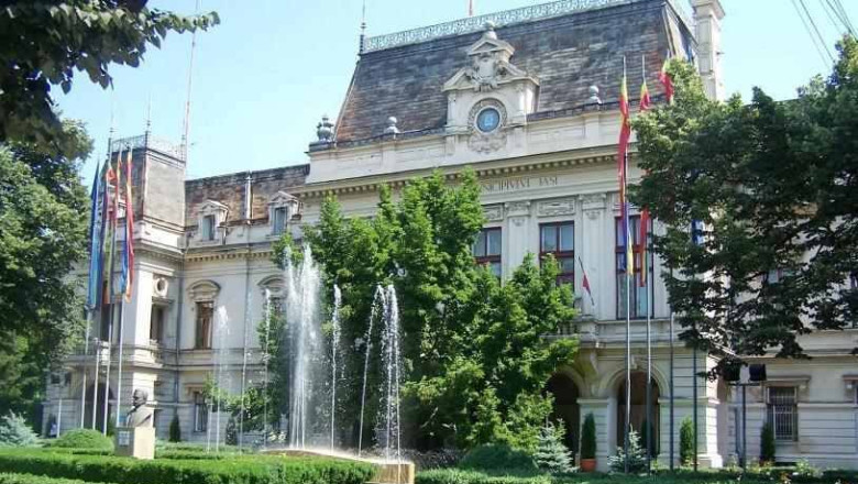 Teii din Iași se usucă prematur: arborii nu mai au spațiu