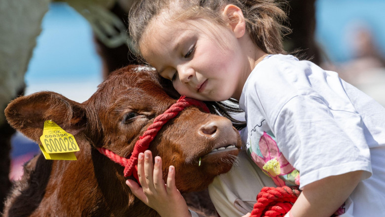 Bacteriile oferă protecție naturală împotriva astmului și alergiilor