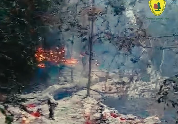 Incendiu puternic de pădure în Plauru, Tulcea: drone explodă, VIDEO