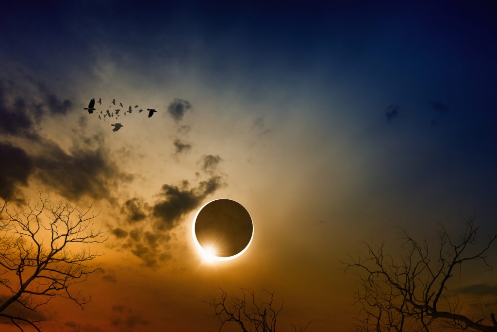 VIDEO: Unde a apărut prima eclipsă solară vizibilă