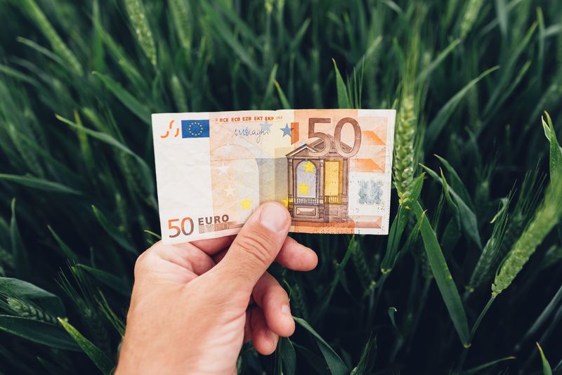 Fonduri europene 2026: Câte 50.000 EUR pentru ferme mici, ca PFA, SRL și alte firme. Descarcă Ghidul AFIR oficial cu grila de punctaj