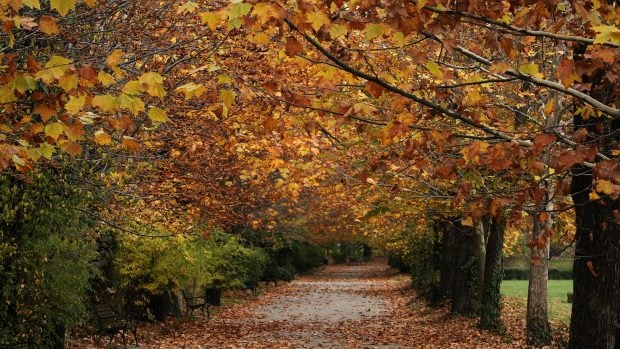 Temperaturi neobișnuit de mari și precipitații schimbătoare, în prima lună de toamnă. Prognoza meteo ANM pentru perioada 31 august – 27 septembrie 2026