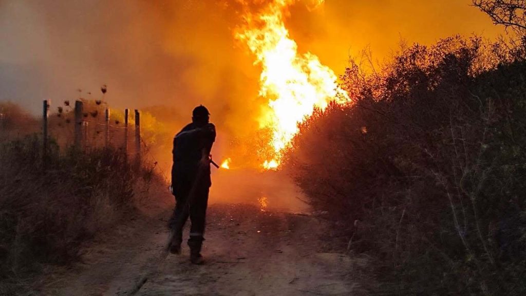 O țară reintroduce pedeapsa cu moartea pentru piromani. Anunțul președintelui după incendiile devastatoare
