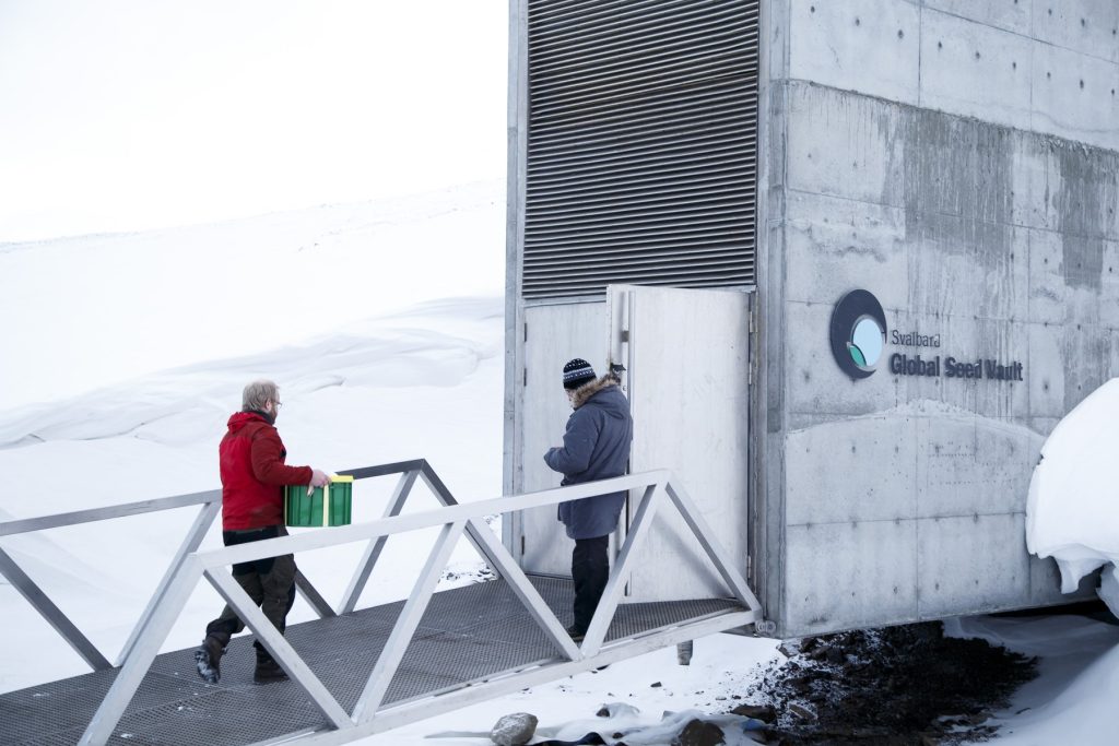 Cercetătorii cred că o plantă rară din Antarctica poate deține cheia culturilor rezistente la condiții extreme
