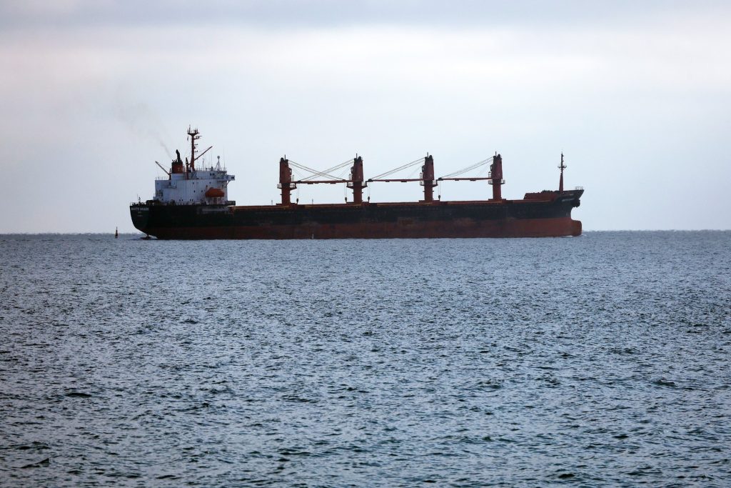 Cu porturile de la Marea Neagră blocate și cu secarea Dunării, Ucraina are o veste proastă pentru întreaga regiune: Alimentele riscă să devină inaccesibile