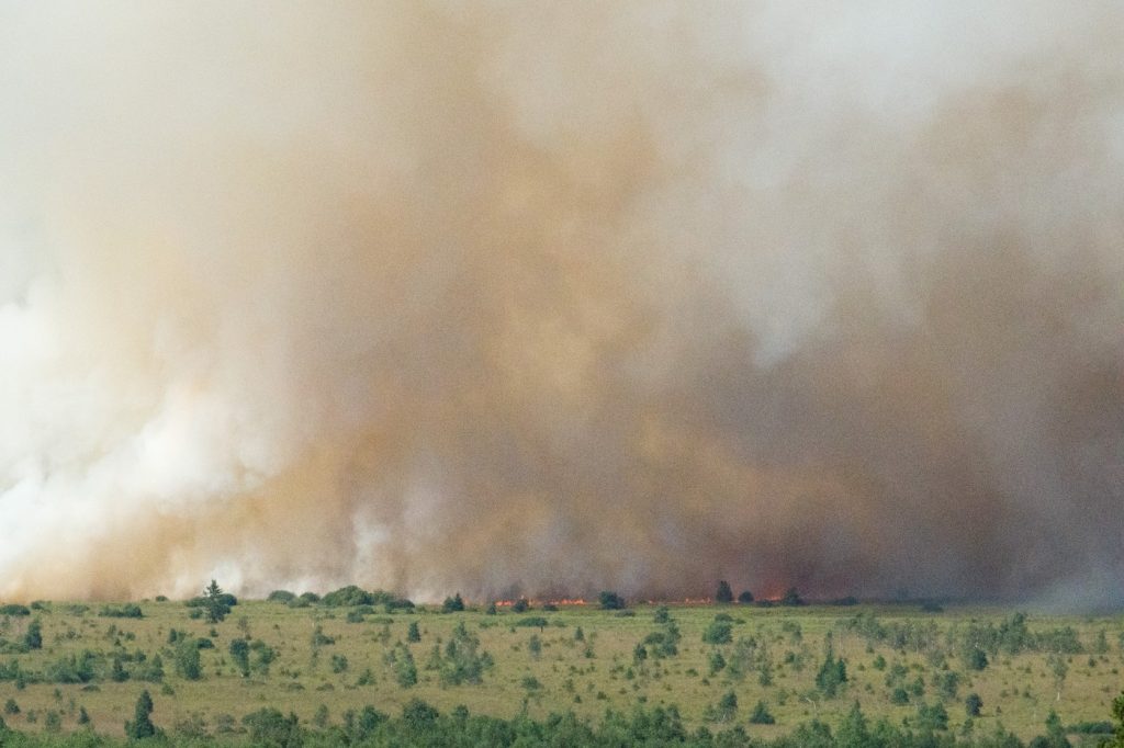 Belgia se confruntă cu cel mai mare incendiu de vegetaţie din istoria ţării și a cerut ajutor de urgenţă din partea UE