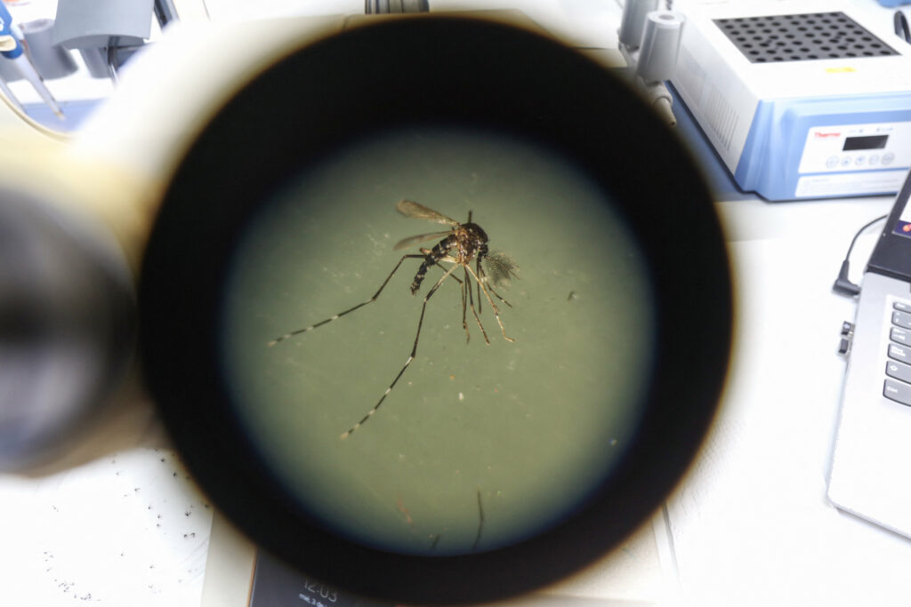 Bolile infecțioase se extind odată cu încălzirea planetei. Noile amenințări