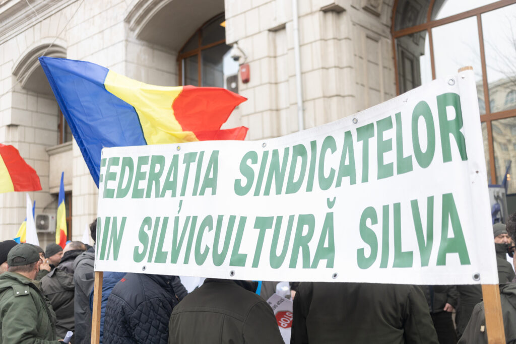 Sindicatele contestă reorganizarea Romsilva; SILVA sesizează CSAT