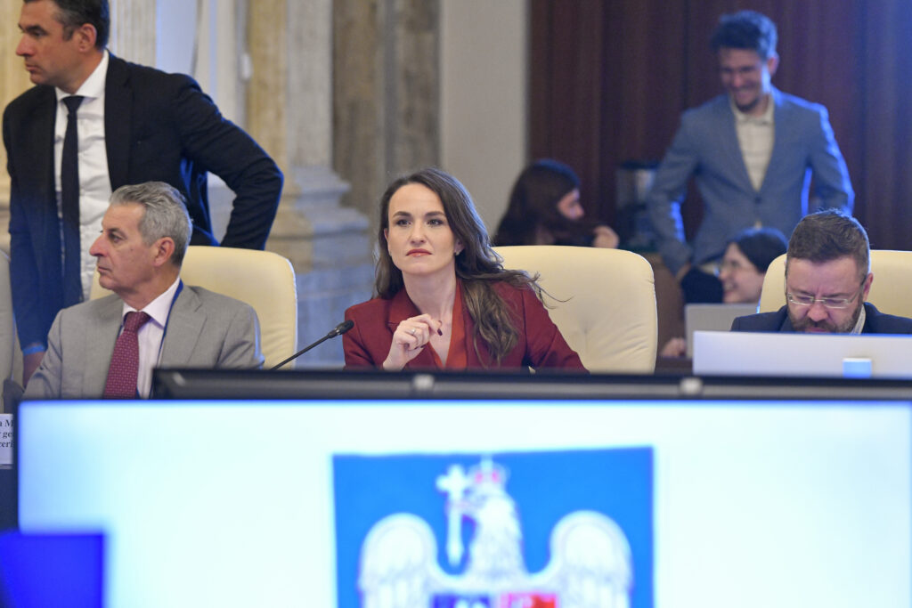 Oana Țoiu, după avizul favorabil pentru Externe: „Este un semn de încredere în politica externă a României”