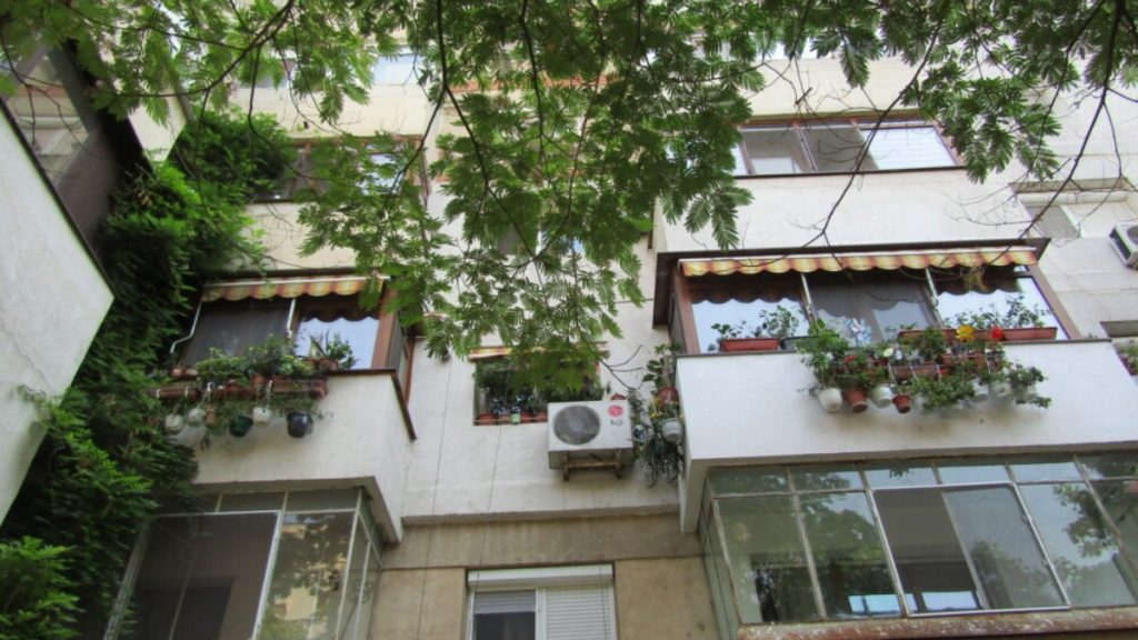 O ardeleancă a decorat cu 800 de ghivece de flori apartamentul în care locuiește în Brăila