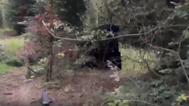 Video: drona se apropie de Solca, Suceava, și se prăbușește!