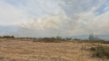 Foto Incendii de pădure în Bihor și Vâlcea. Intervenții dificile din cauza vântului puternic