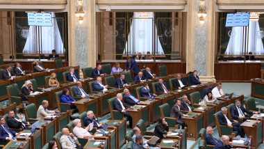 Senatul a eliminat scutirea de accize pentru alcoolul produs în gospodării după ce președintele Nicușor Dan a cerut reexaminarea legii