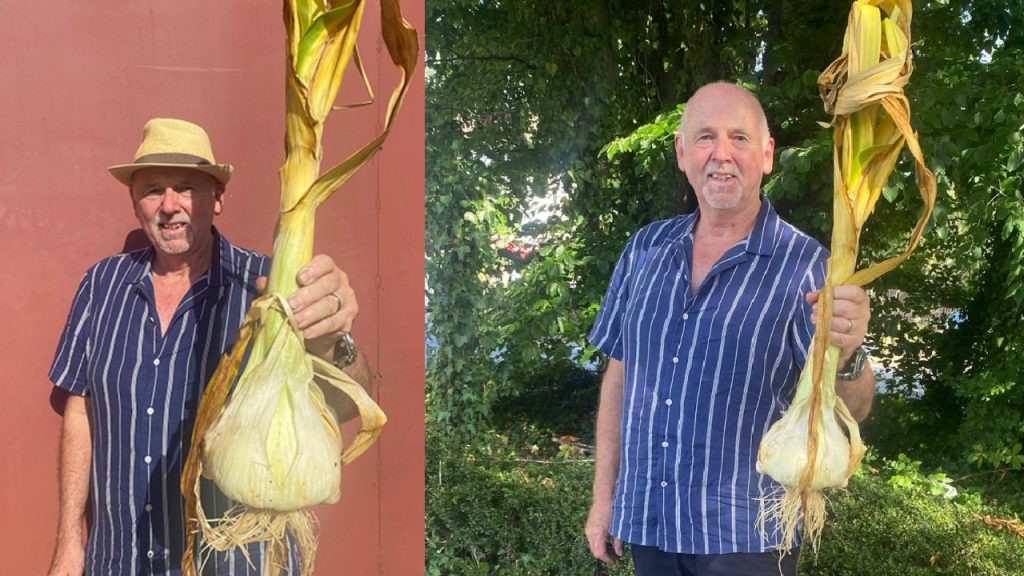 Britanicul a crescut usturoi record: o căpățână de 1,75 kilograme