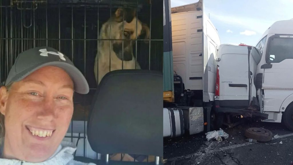 Două britanice care salvau câinii din România au murit într-un carambol în Caraș-Severin
