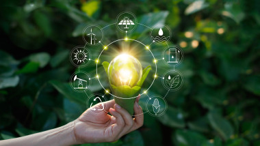 Producția globală de biocombustibili ar putea crește cu aproape 70% până în 2030. Ce presiuni apar asupra terenurilor și prețurilor