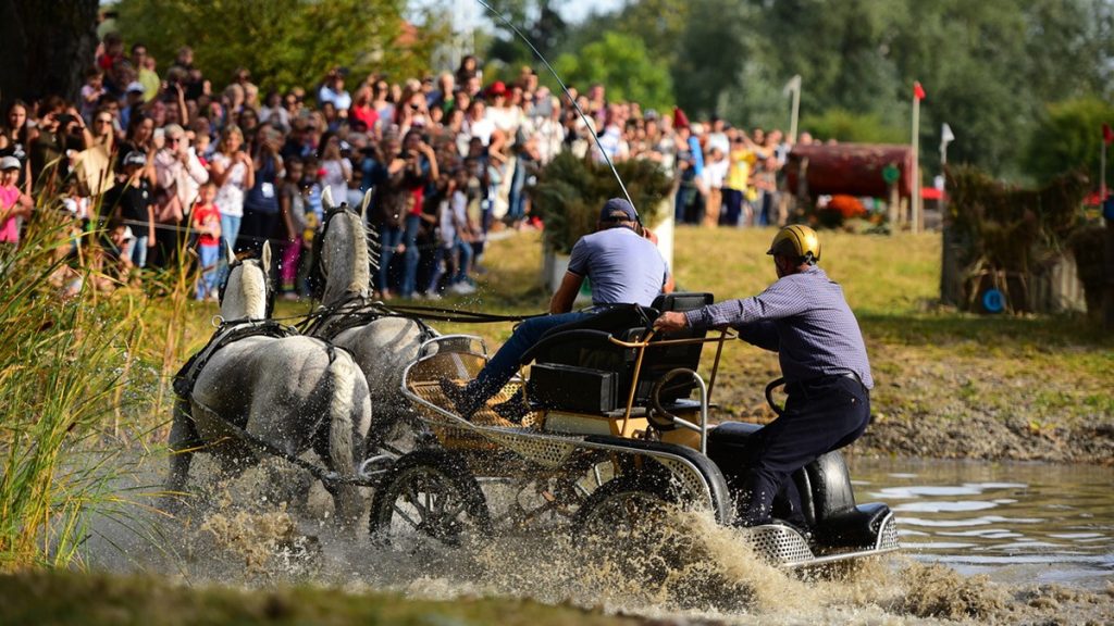 Cel mai important concurs ecvestru din România, pe Domeniul Cantacuzino din Florești – Prahova: „Precizie, armonie, echilibru, suplețe”