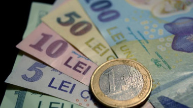 Eurou ar scădea dacă România devine junk, avertizează Păun