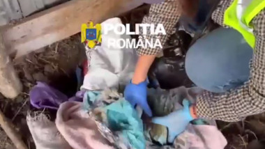 Polițiști găsesc 40.000 de euro îngropate în pământ în Dâmbovița