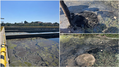De unde ar fi venit mirosul insuportabil resimțit în București în luna august. Garda de Mediu indică două surse și anunță amenzi uriașe