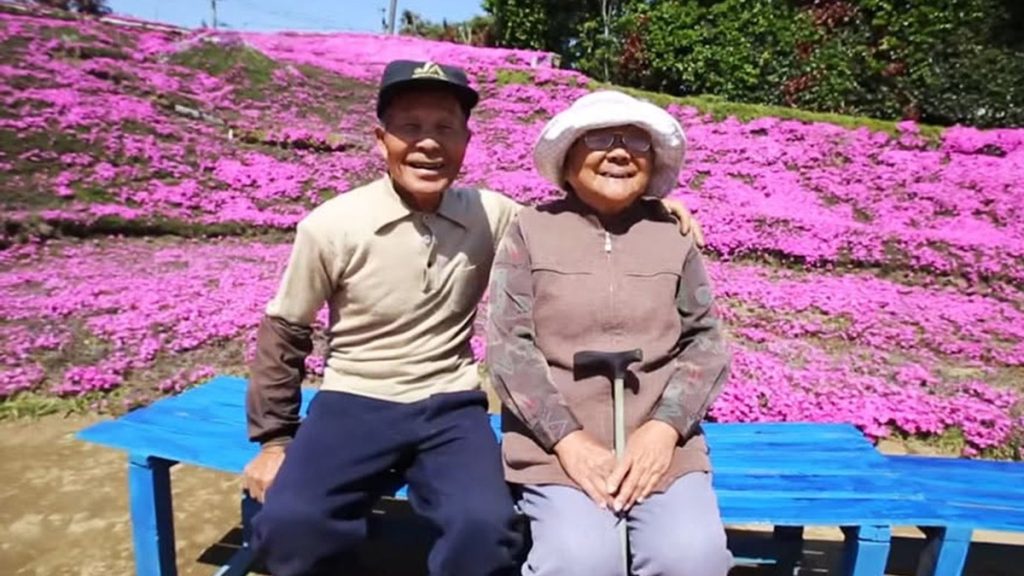Fermier plantează mii de flori pentru soția nevăzătoare în Japonia