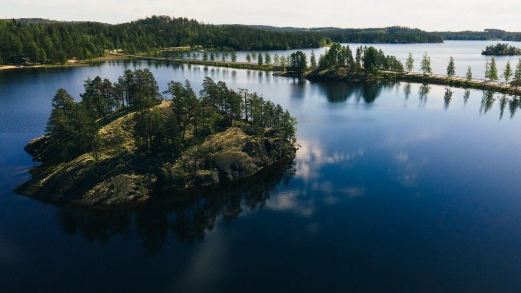 1.500 de brazi de Crăciun au fost aruncați într-un lac în 2021, în Finlanda. După 3 ani, cercetătorii au fost uimiți de rezultat