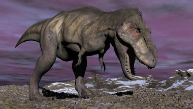 Tyrannosaurus rex, un dinozaur cu sânge cald: descoperire făcută cu ajutorul unui dinte. Reptila ar fi putut trăi și în zone cu îngheț