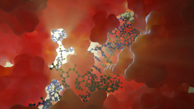 Anthropic anunță: AI detectează structura virală atacă bacterii