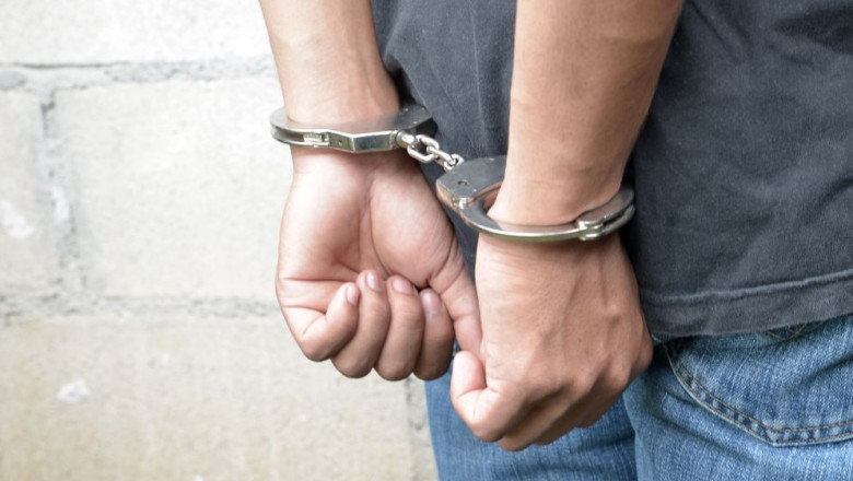 Bărbat arestat în Suceava pentru cruzime față de cal bătut în stradă