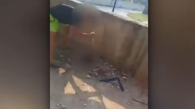 Video: Două copii de 11 și 13 ani atacă șapte pui cu cuțit în Vâlcea
