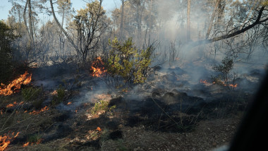 Incendiu devastator în Croația. Aproximativ 500 de persoane au fost evacuate de pe insula Brac