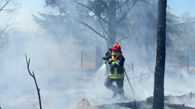 Video Pompierii români continuă lupta cu incendiile din Serbia. Intervenții în Rezervația Deliblato Sands