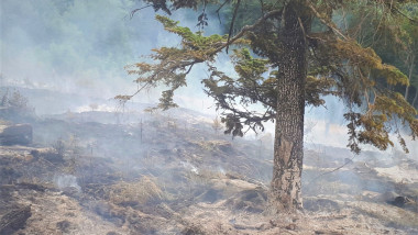 Video IGSU: Peste 10.000 de incendii de vegetație în primele opt luni. Numărul intervențiilor, în scădere