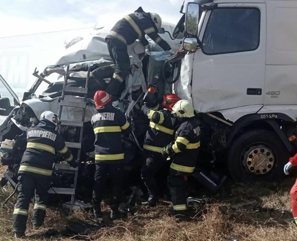 Misiune de salvare a animalelor devine tragedie în România: 2 femei britanice și 8 câini morți în incidentul tragic