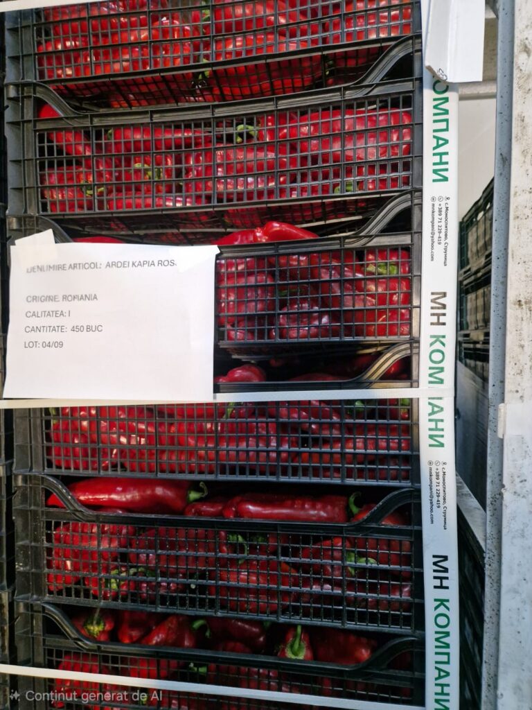 Patru firme din Ilfov vindeau la supermarket ardei import ca românești
